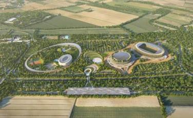 Firma decreto Firma decreto