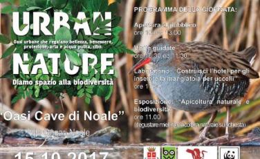 Oasi cave di Noale Urban Nature Oasi cave di Noale Urban Nature