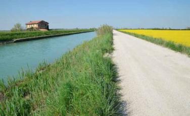 Concorso di illustrazione VeGAL Concorso di illustrazione VeGAL