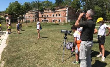 centro-estivo - Venezia-MUVE-summer-camp-2022-1024x768.jpg centro-estivo - Venezia-MUVE-summer-camp-2022-1024x768.jpg