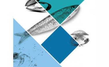 Contributi oer la pesca e l'acquacoltura Contributi oer la pesca e l'acquacoltura