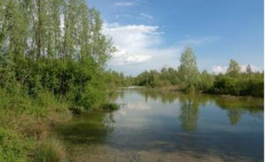 Gestire insieme il cambiamento climatico Gestire insieme il cambiamento climatico