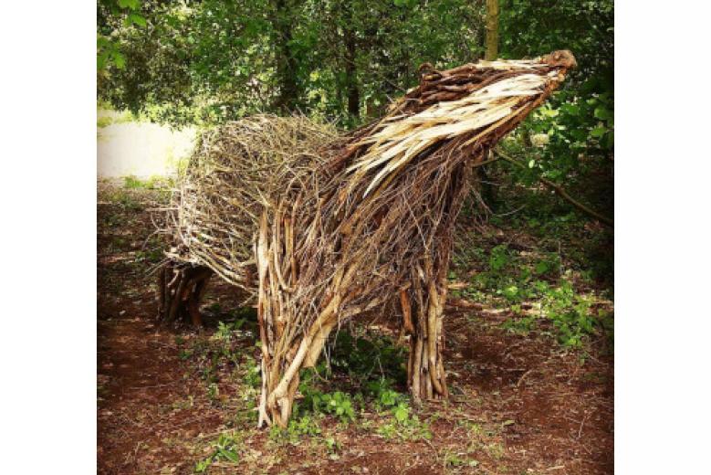 Estate a Bosco Nordio (Foto: Veneto Agricoltura) Estate a Bosco Nordio (Foto: Veneto Agricoltura)