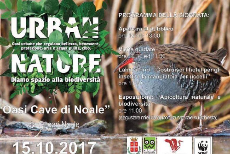 Oasi cave di Noale Urban Nature Oasi cave di Noale Urban Nature