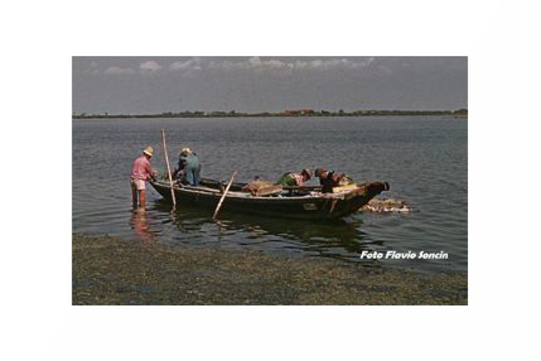 passeggiata I passi da Altino alla laguna (foto di Flavio Soncin) passeggiata I passi da Altino alla laguna (foto di Flavio Soncin)